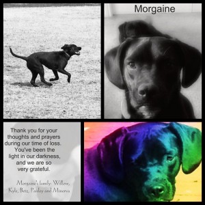Morgaine